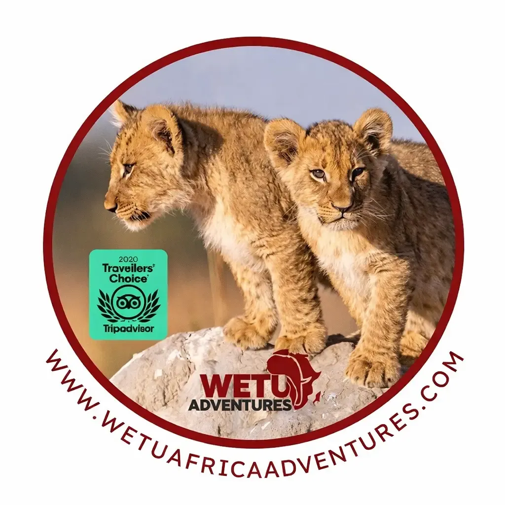 wetuafricaadventures